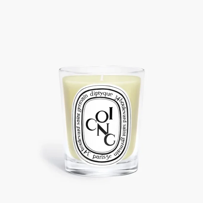 Coing (membrillo) – vela clásica