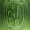 Figuier (higuera) – vela muy grande